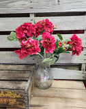 Silk Geranium Bush