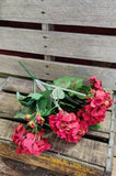 Silk Geranium Bush