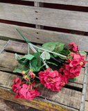 Silk Geranium Bush