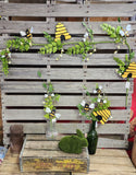 Bumble Bee and Bee Hive Stem