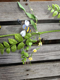 Bumble Bee Garland