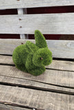 Green Flocked Bunny Rabbit