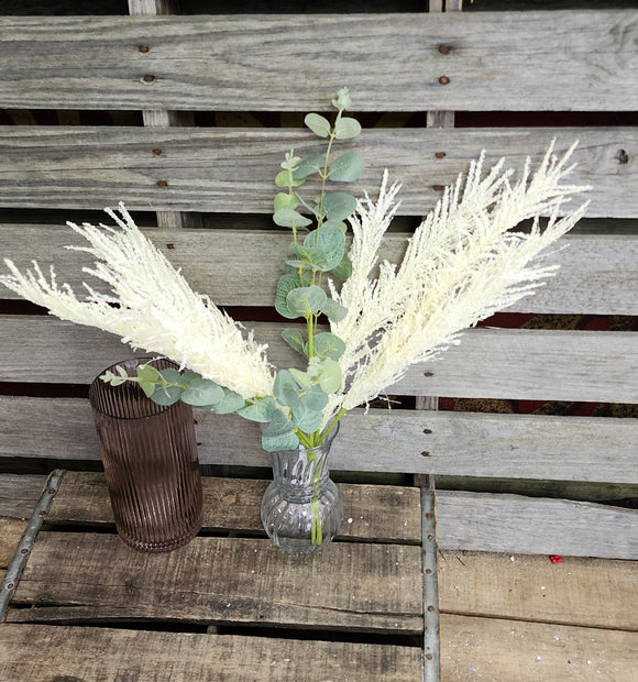 Eucalyptus and Foxtail Bush