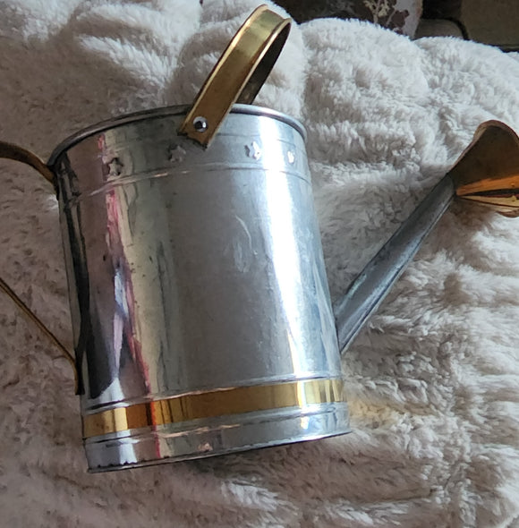 Large Watering Can