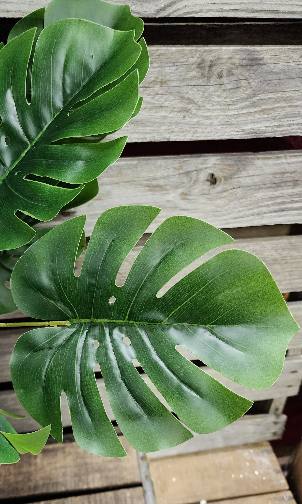 faux philodendron monstera 23" Faux Philodendron Plant – Florist Wreath Supply