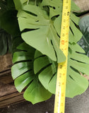 23" Faux Philodendron Plant