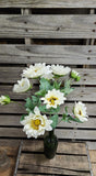 Cream Sunflower Bush