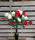 Red and White Rose Bush x18