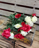 Red and White Rose Bush x18