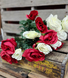 Red and White Rose Bush x18