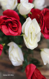 Red and White Rose Bush x18