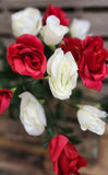 Red and White Rose Bush x18