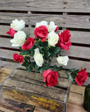 Red and White Rose Bush x18