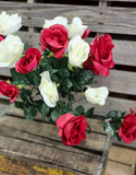 Red and White Rose Bush x18