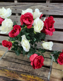 Red and White Rose Bush x18