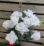 Silk Open Veined Rose Bush