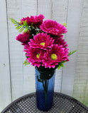 Gerber Daisy Bush x12