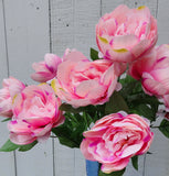 Pink Peony Bush x7