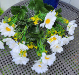 Silk White Daisy Bush x12