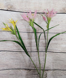 3 Stems of Nephrine Lily's