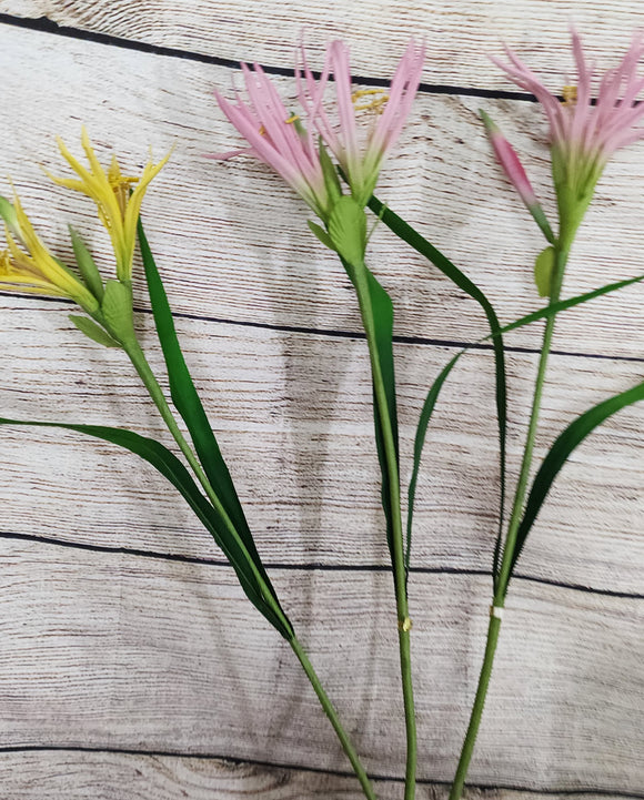 3 Stems of Nephrine Lily's