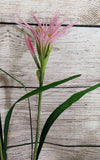 3 Stems of Nephrine Lily's