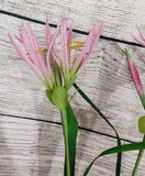 3 Stems of Nephrine Lily's