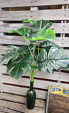 26" Large Split Leaf Philodendrone