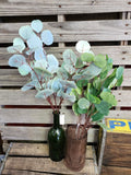 Set of 2 Silk Silver Dollar Eucalyptus Bushes