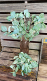 18" Artifical Seeded Eucalyptus Bush