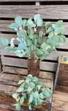 18" Artifical Seeded Eucalyptus Bush