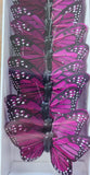 3" Dark Purple Butterflies x12