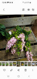 Foam Berry Bush