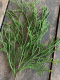 6 Stems - Large 19.5" Flocked Cedar Stem