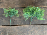 6 Stems - 7" Sesame Fern Pick