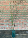 44" Plastic Twig Curly Willow Branch - Brown Green