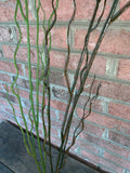 44" Plastic Twig Curly Willow Branch - Brown Green