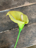 6 Stems - 23" Calla Lily Stem - White Yellow