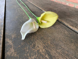 6 Stems - 23" Calla Lily Stem - White Yellow