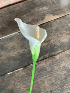 6 Stems - 23" Calla Lily Stem - White Yellow