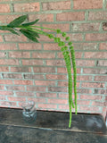 51" Green Amaranthus Stem x3