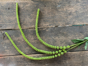 51" Green Amaranthus Stem x3