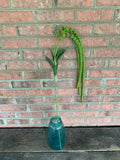 51" Green Amaranthus Stem x3