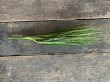 22" Light Green Grass Bush