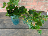 35" Waterproof Grape Ivy Hanging Bush x110