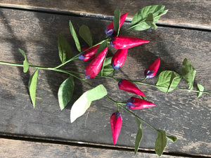 3 Stems - 21" Red Pepper Spray