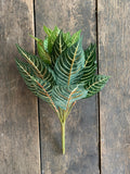 16" Zebra Plant with 18 Leaves