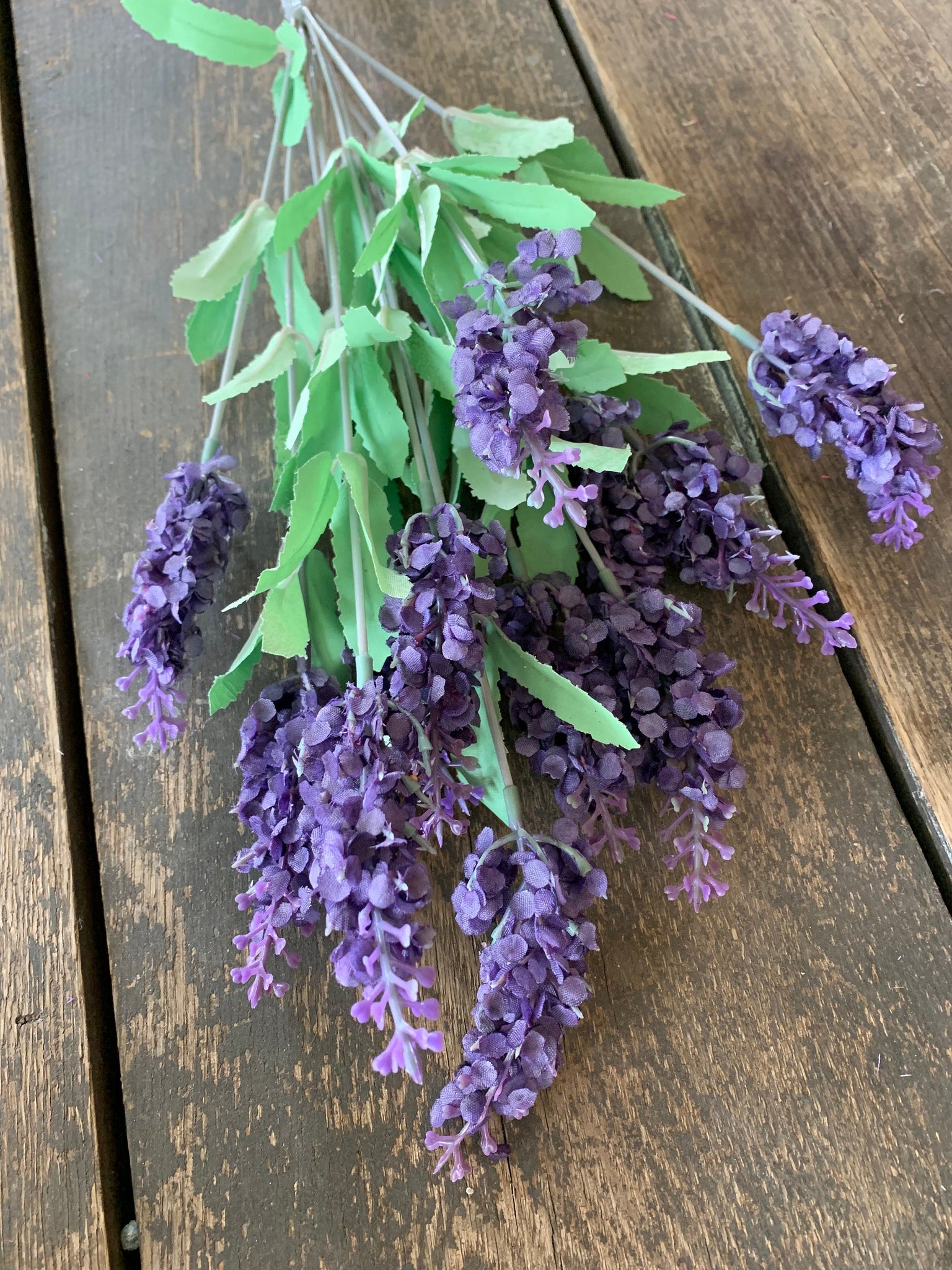 heather and lavender plants 18" Heather Bush