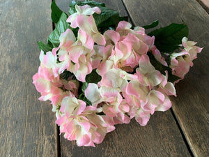 19" Hydrangea Bush x9 - Light Pink Cream