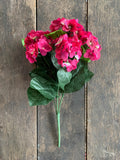 18" Hydrangea Bush x5 - Hot Pink Beauty